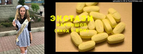 ешки Новодвинск