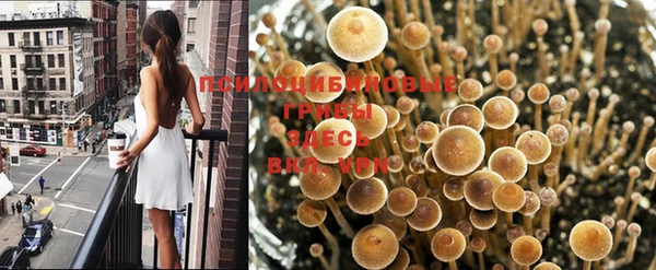 mdma Нефтегорск