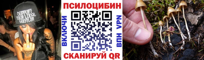 Галлюциногенные грибы GOLDEN TEACHER  Купить закладки  Сосновоборск 